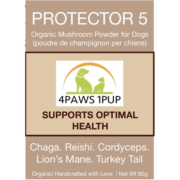 Mushroom powder for store dogs