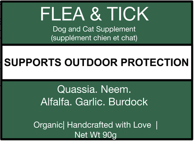 Flea & Tick