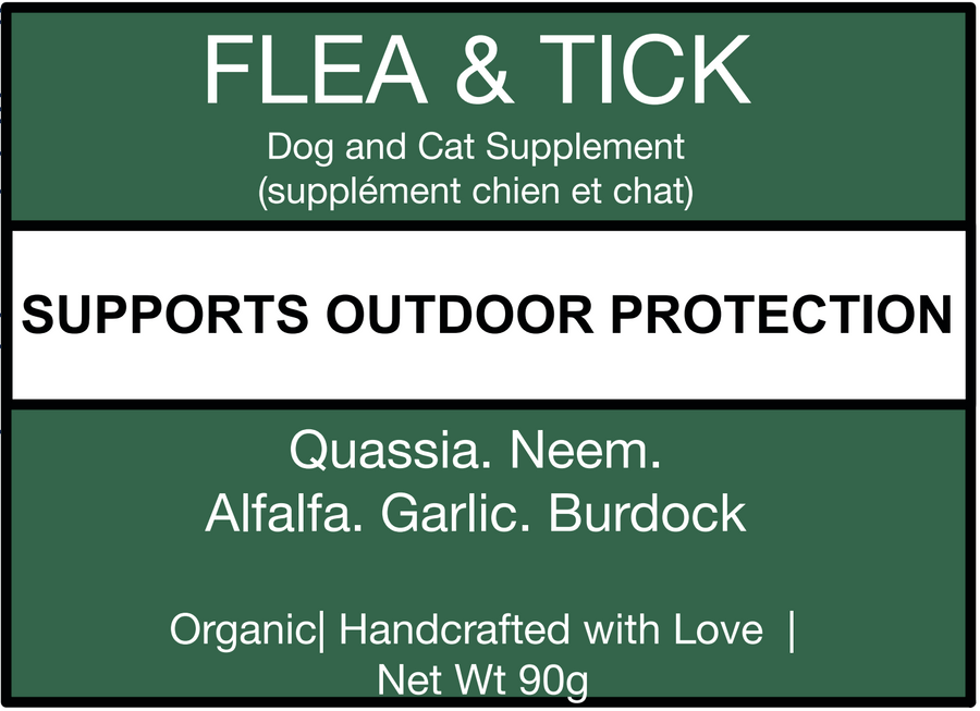 Flea & Tick