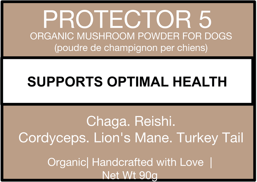 Protector 5 Mushroom Powder