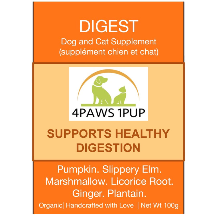 4Paws 1Pup Digest Cat and Dog Supplement