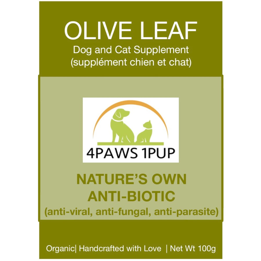 4Paws 1Pup Olive Leaf Cat and Dog Supplement