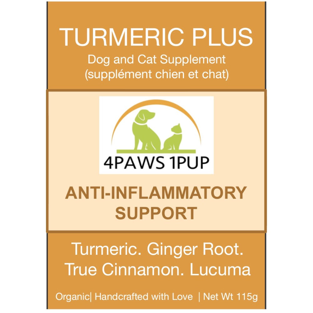 4Paws 1Pup Organic Turmeric Plus | Golden Milk for Dogs