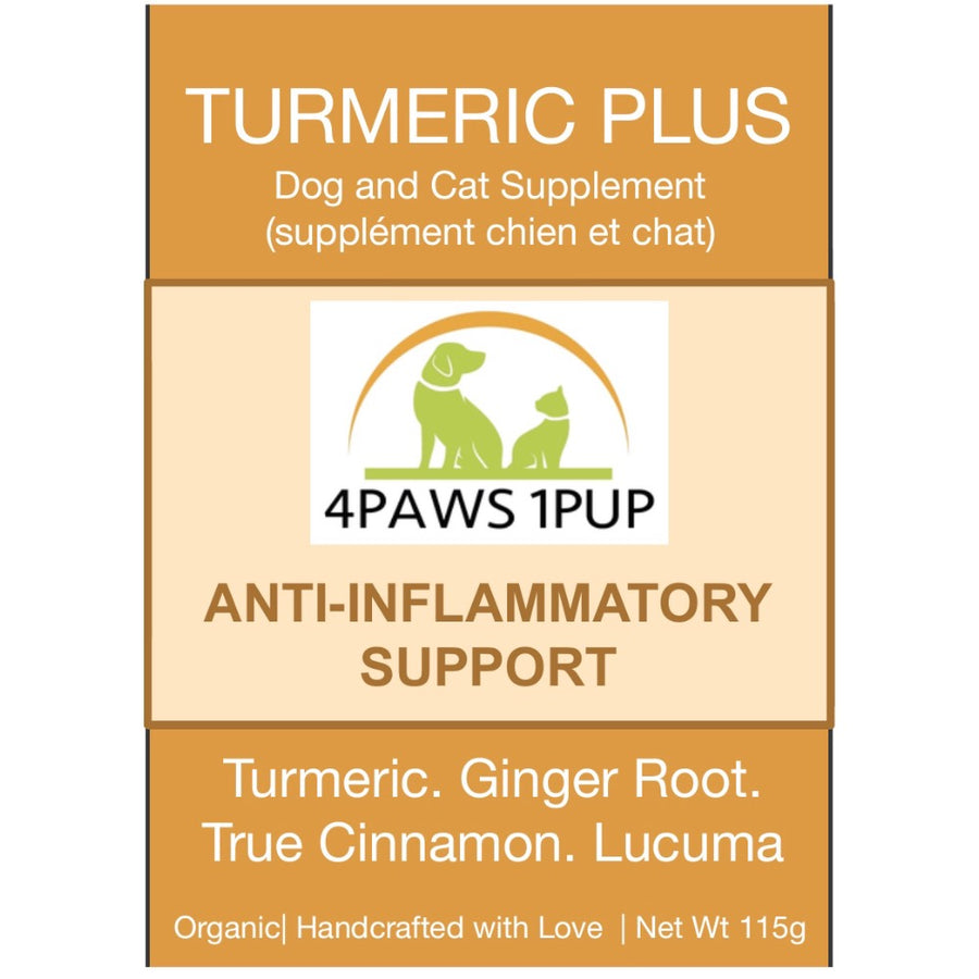 4Paws 1Pup Organic Turmeric Plus | Golden Milk for Dogs